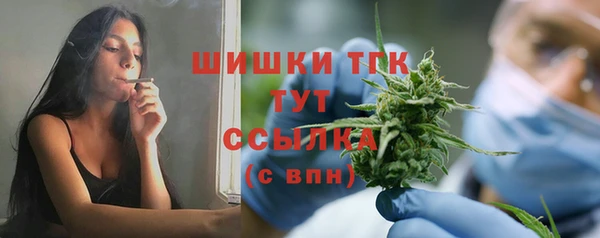 винт Елизово