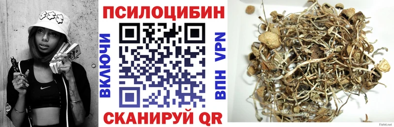 OMG сайт  Ростов  Псилоцибиновые грибы ЛСД 
